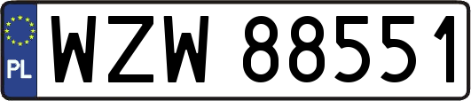 WZW88551
