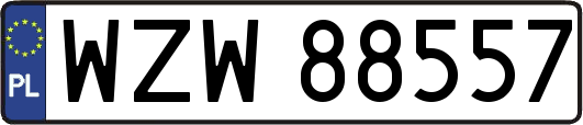 WZW88557