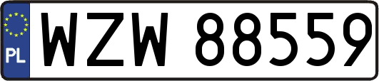 WZW88559