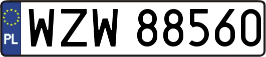 WZW88560