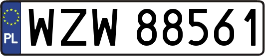 WZW88561
