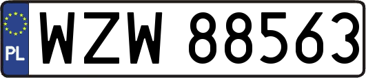 WZW88563