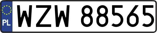 WZW88565