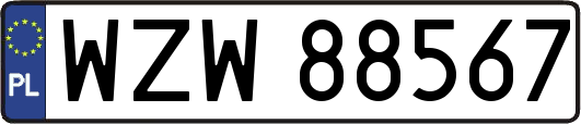 WZW88567