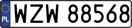 WZW88568