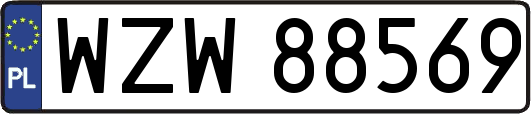 WZW88569