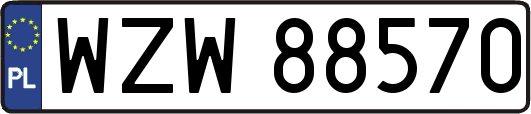 WZW88570