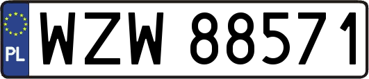 WZW88571
