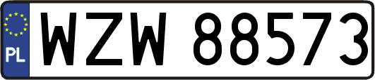 WZW88573