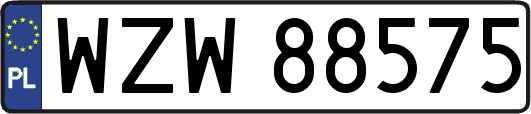 WZW88575
