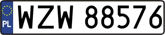 WZW88576