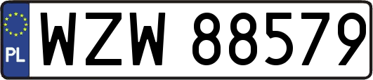 WZW88579