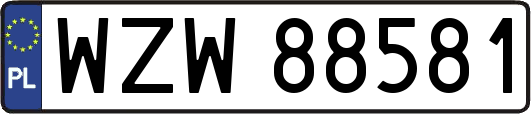 WZW88581
