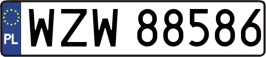 WZW88586