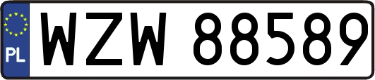 WZW88589