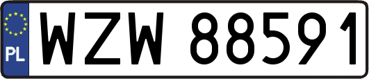 WZW88591