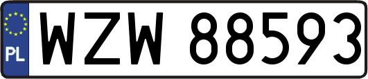 WZW88593