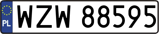 WZW88595