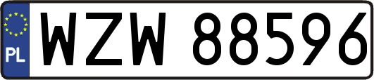 WZW88596