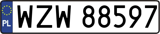 WZW88597