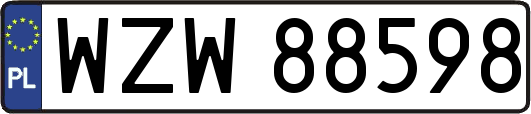 WZW88598