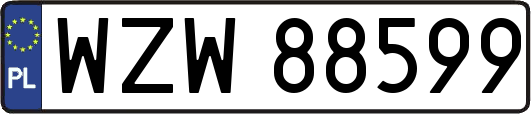 WZW88599
