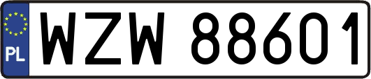 WZW88601