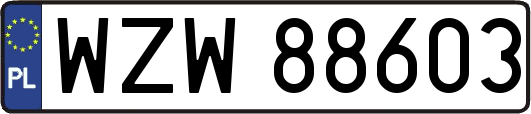 WZW88603