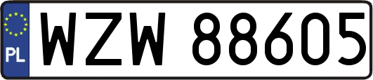 WZW88605