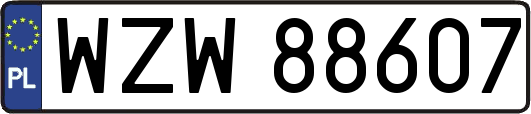 WZW88607