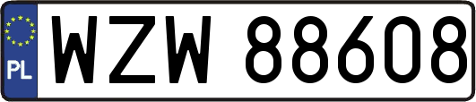 WZW88608