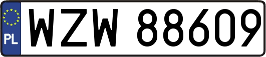 WZW88609