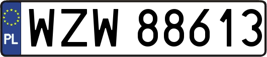 WZW88613