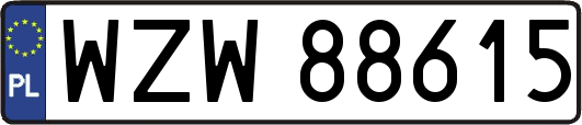 WZW88615