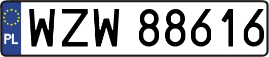 WZW88616