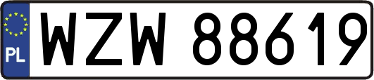 WZW88619