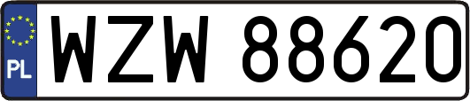WZW88620