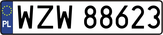 WZW88623