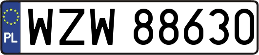 WZW88630