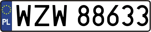 WZW88633