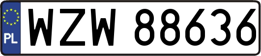 WZW88636