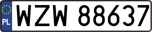 WZW88637