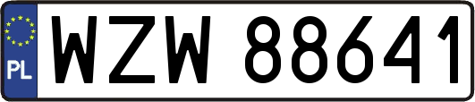 WZW88641