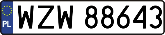 WZW88643