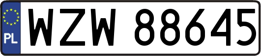 WZW88645