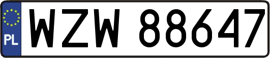 WZW88647