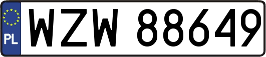 WZW88649