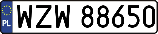 WZW88650