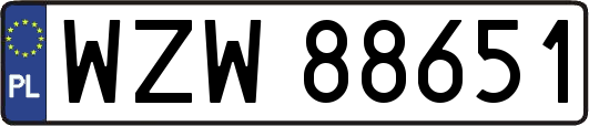 WZW88651