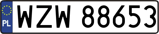 WZW88653